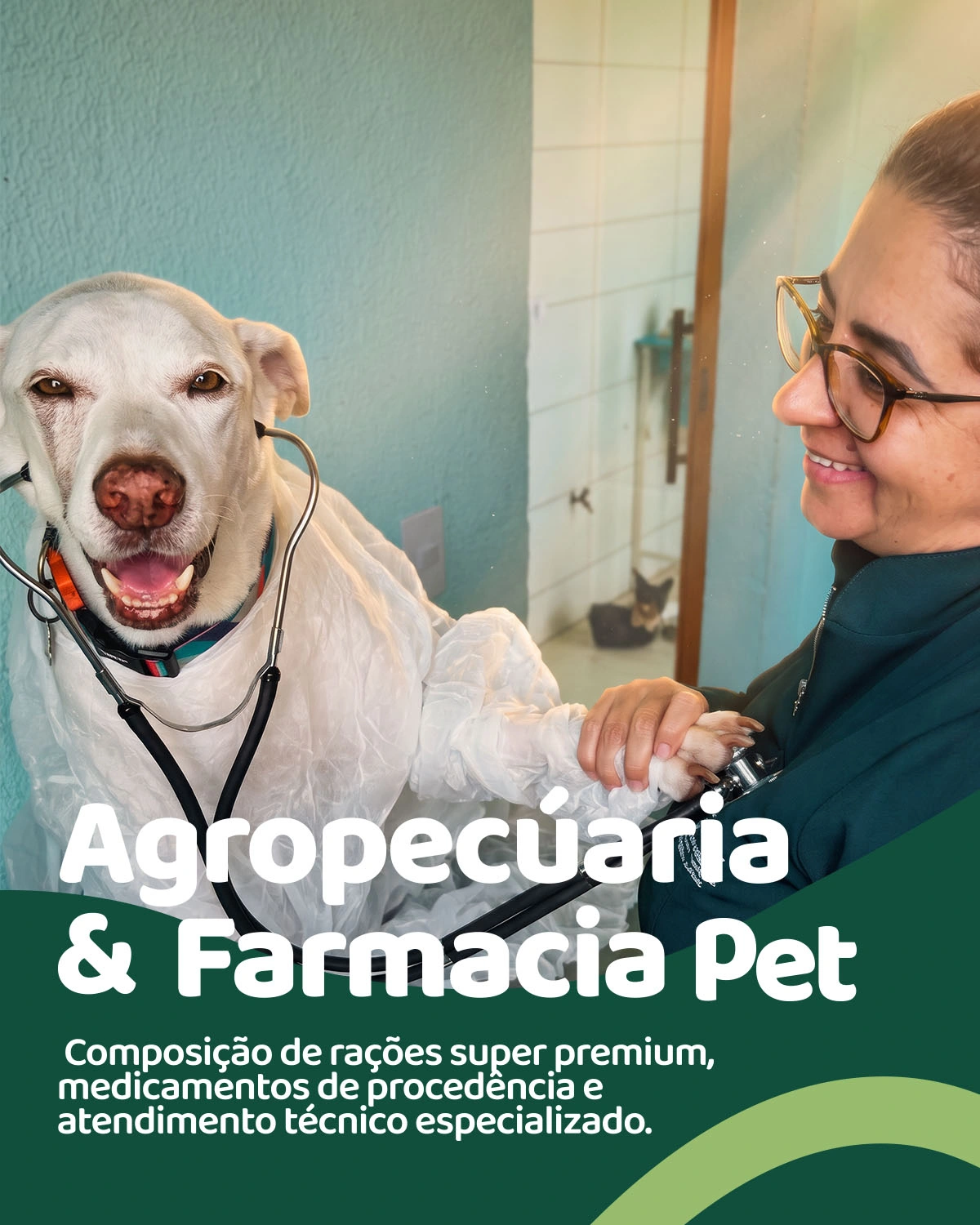 Agropecuária e Farmácia Veterinária em Iguaraçu - Recanto da Bicharada