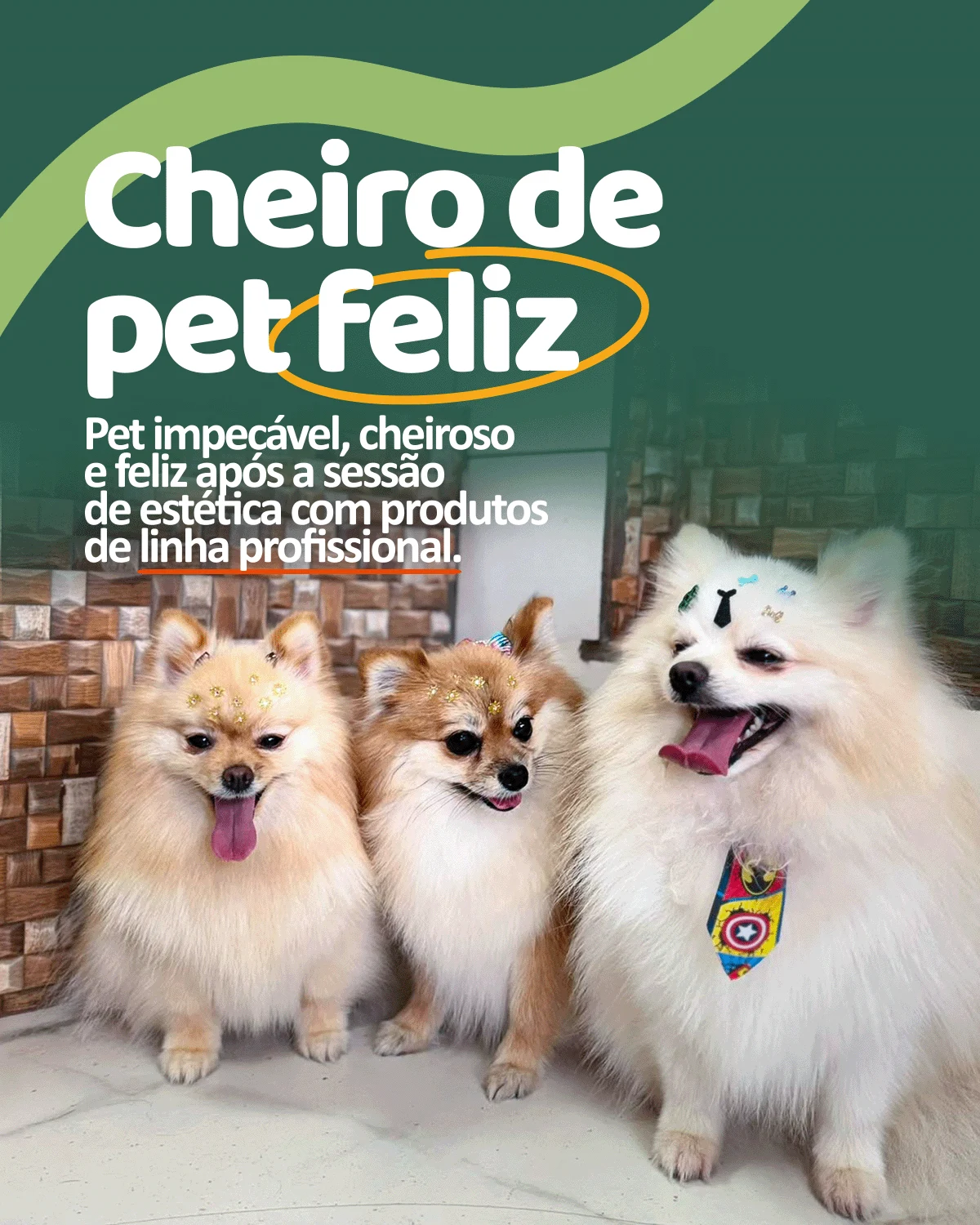 Banho e Tosa Estética Pet em Iguaraçu - Recanto da Bicharada