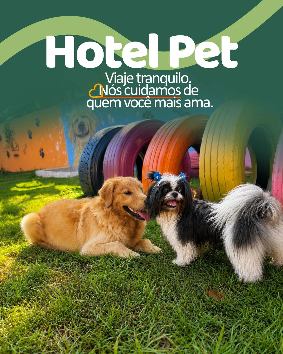 Hotel Pet e Creche Hospedagem em Iguaraçu - Recanto da Bicharada